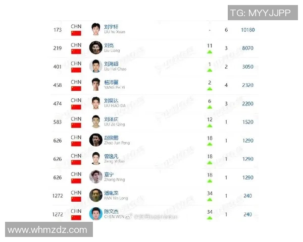 南京羽毛球队在羽毛球状态排行榜中荣登第七名展现出强劲实力与潜力